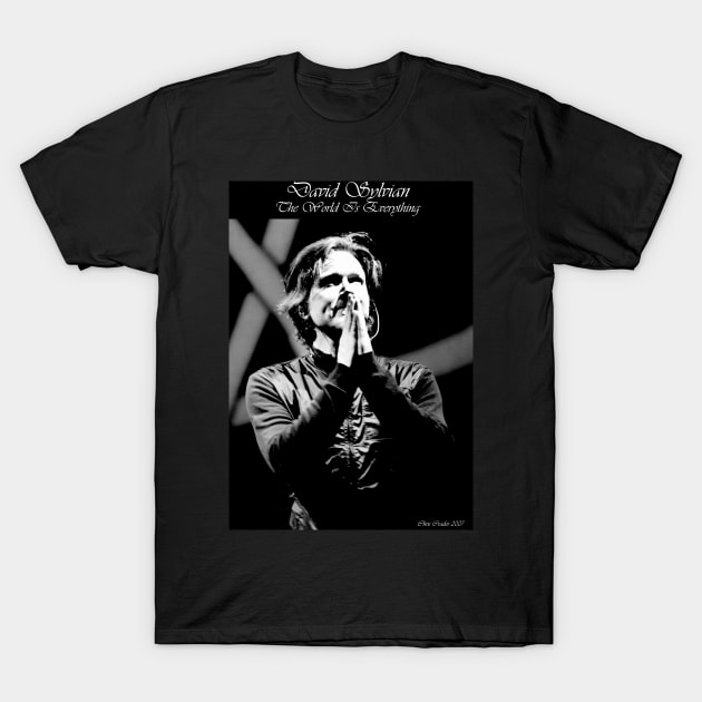 David Sylvian - Praise II T-Shirt by Moodyb102